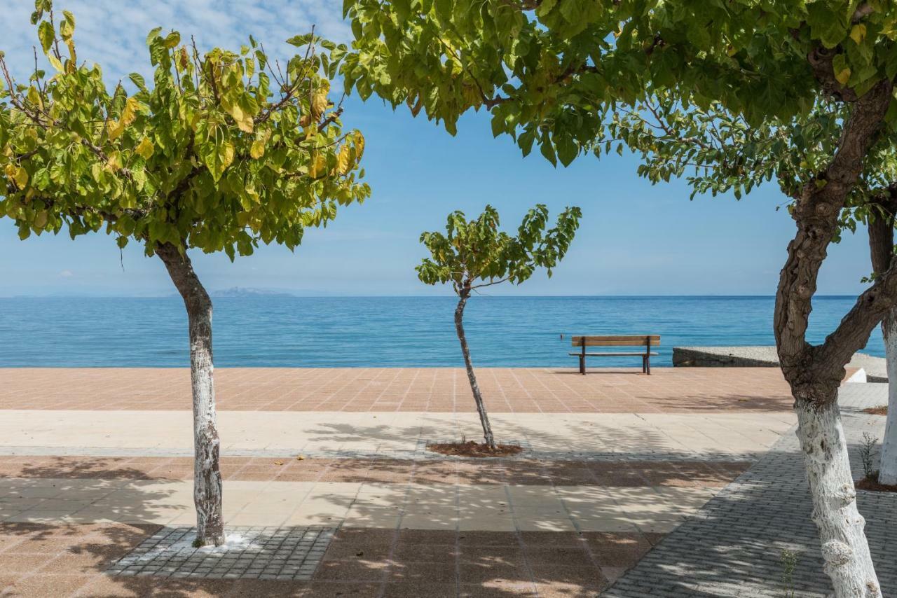 Areti Apartments Poros  Bagian luar foto
